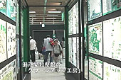 グリーンマップ
