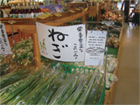 あぐりん村　レイアウト