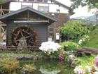 田植え体験
